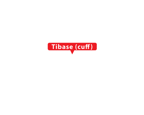 tab-titan-tibase-cuff-text