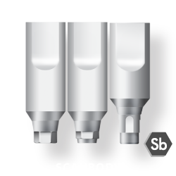 sec3-scanbody