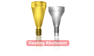 icon-decus-healingi-abutmnet-tab-product-1